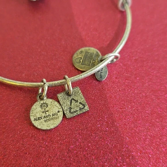 Alex and ani bracelet owl jo35 - Picture 3 of 4